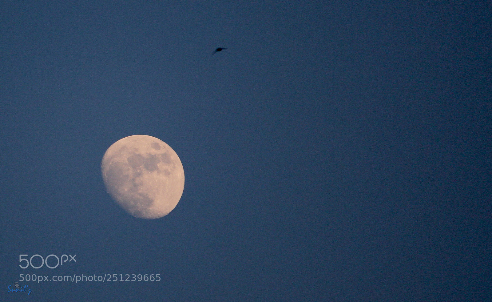 Canon EOS 700D (EOS Rebel T5i / EOS Kiss X7i) sample photo. Untitled photography