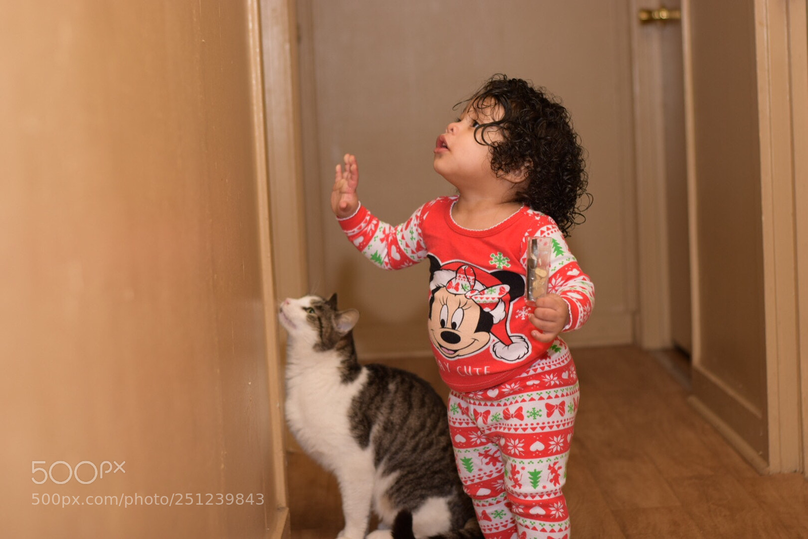 Nikon D5300 sample photo. Pequeña photography
