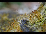 Nikon D500 sample photo. Untitled photography