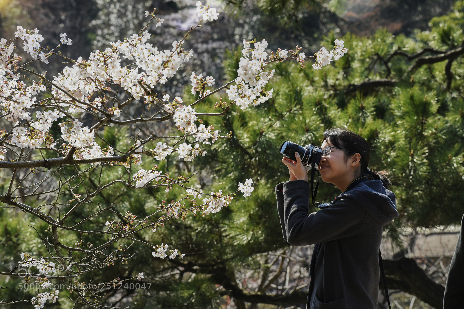 Nikon D810 sample photo. Sakura model photography