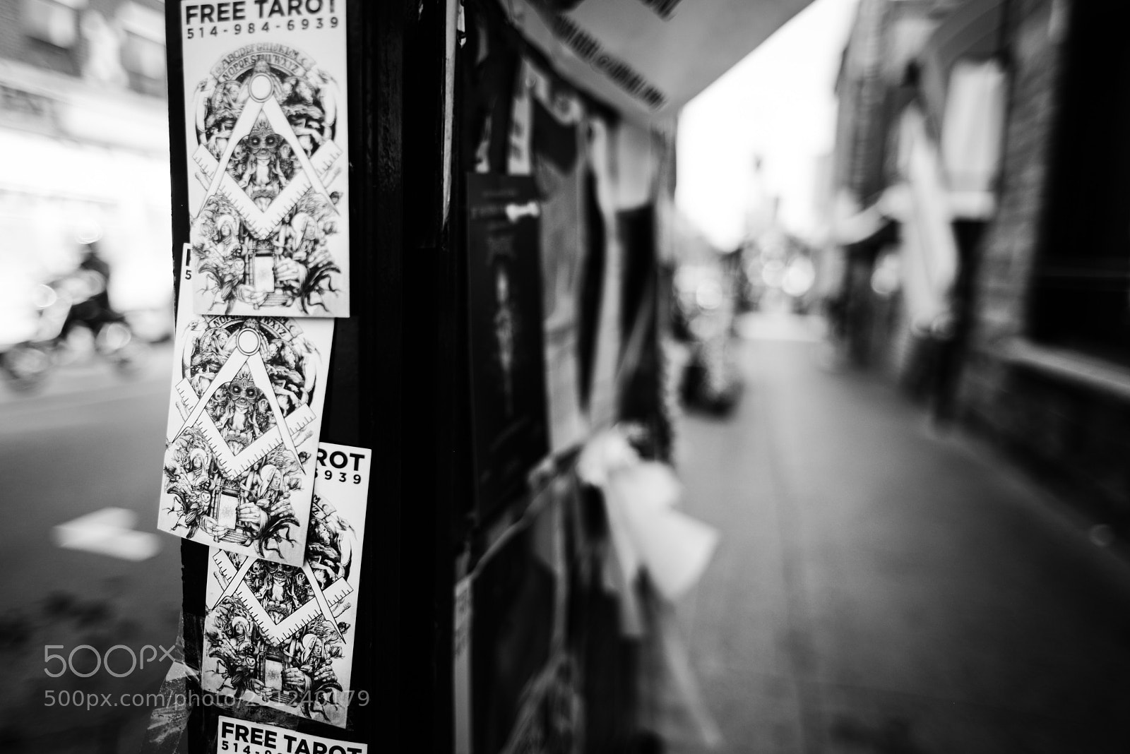 Nikon D600 sample photo. Free fortune telling  photography