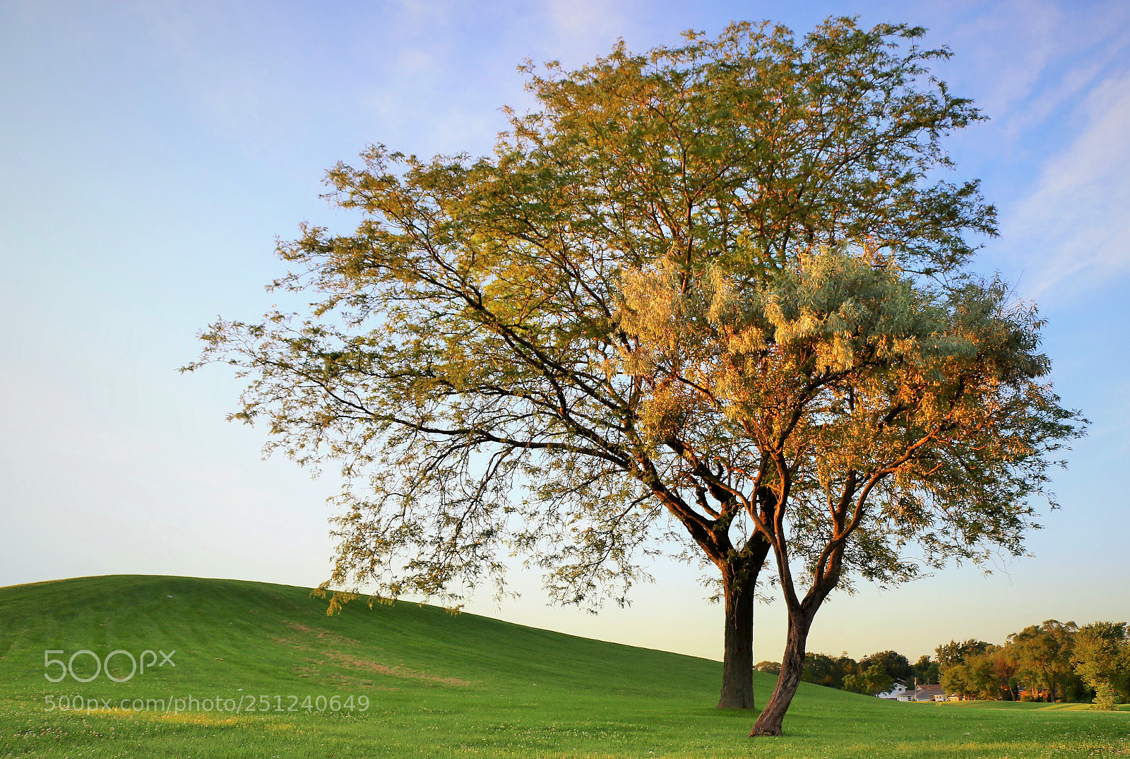 Canon EOS 70D sample photo. () photography