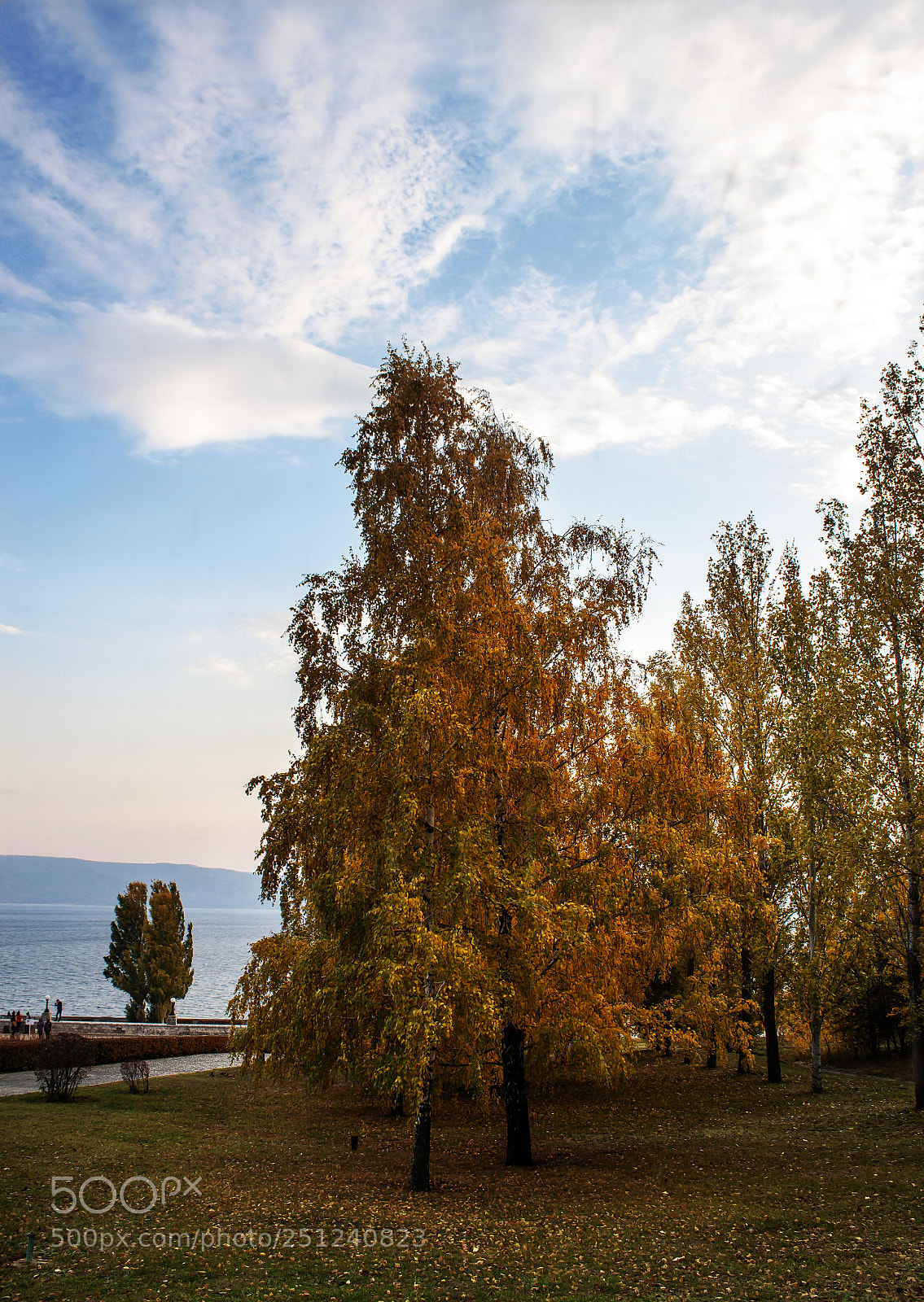 Canon EOS 500D (EOS Rebel T1i / EOS Kiss X3) sample photo. Нежная осень photography