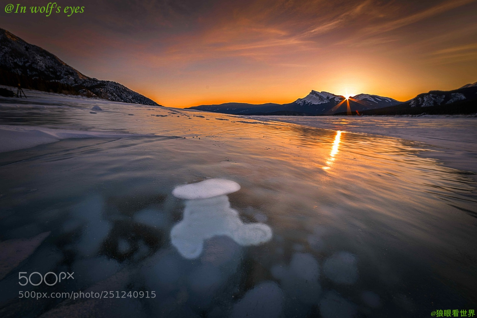 Nikon D810 sample photo. Bubble in the ice photography