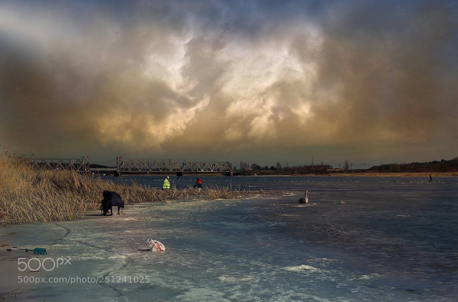 Canon EOS-1D X sample photo. Rainbow fishing... photography