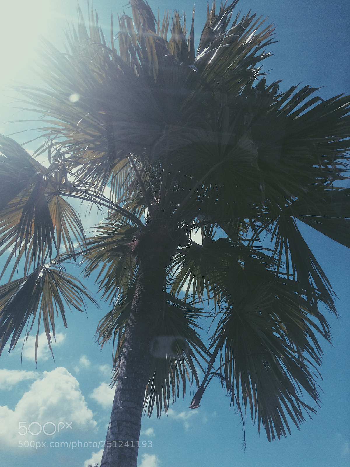 Apple iPhone 5s sample photo. Processed with vsco with photography