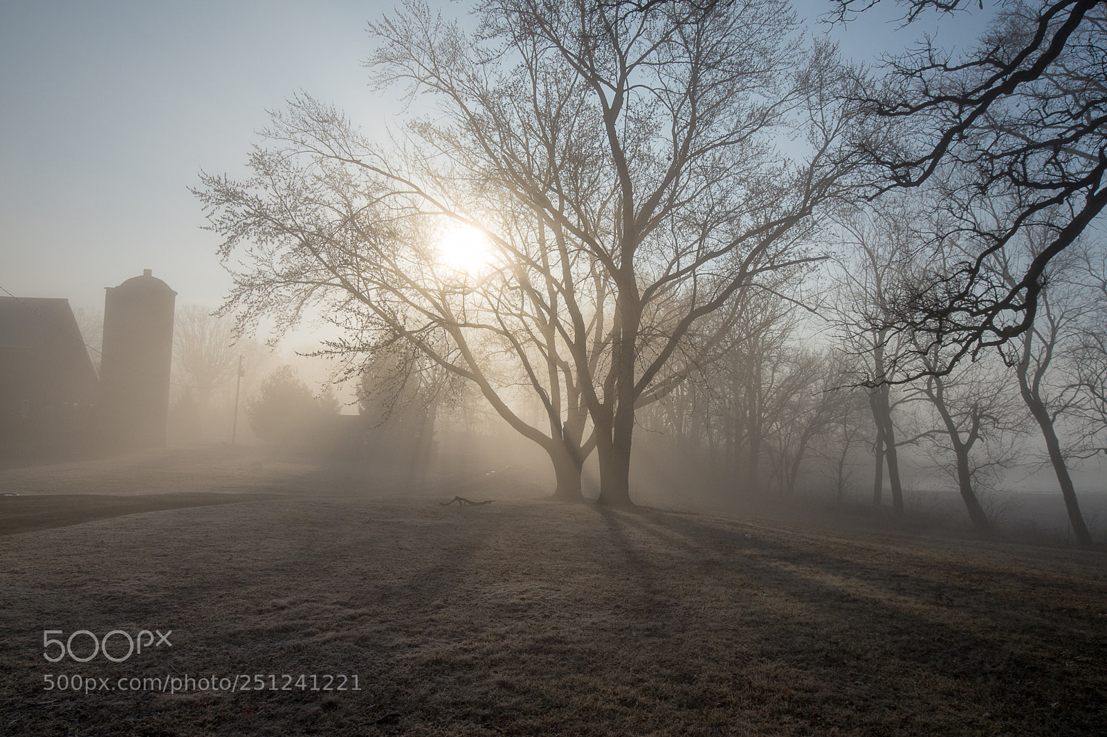 Sony SLT-A58 sample photo. Foggy sunrise at the photography