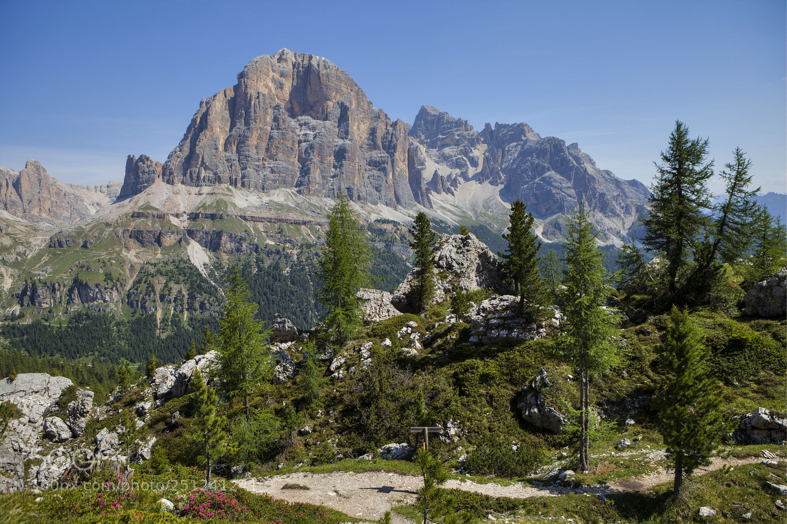 Canon EOS 5D Mark II sample photo. Tofana di rozes from photography