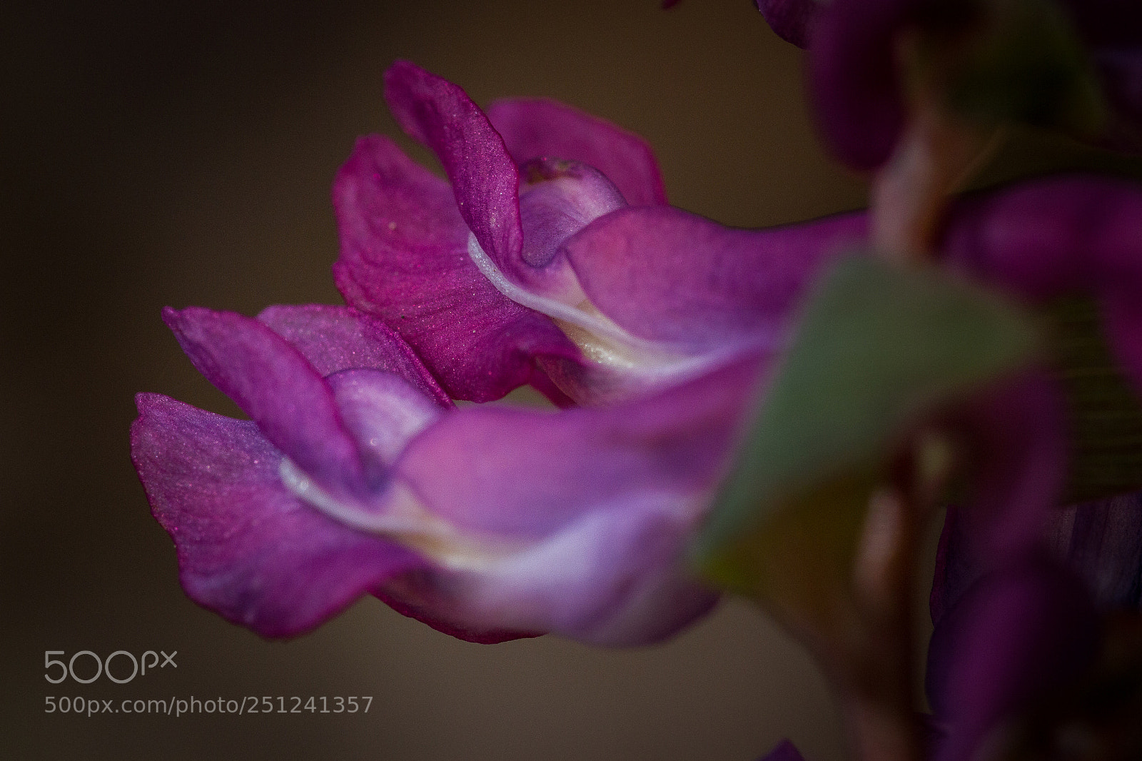 Canon EOS 7D sample photo. Common dream... photography