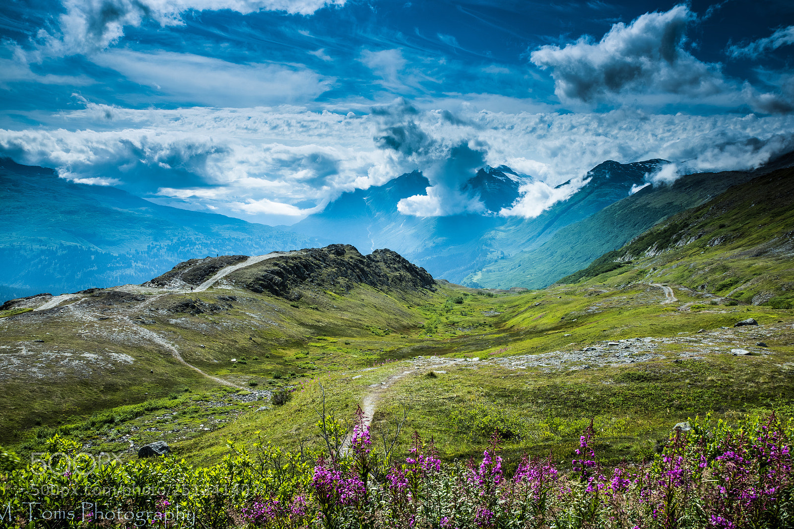 Nikon D810 sample photo. Valdez trail photography