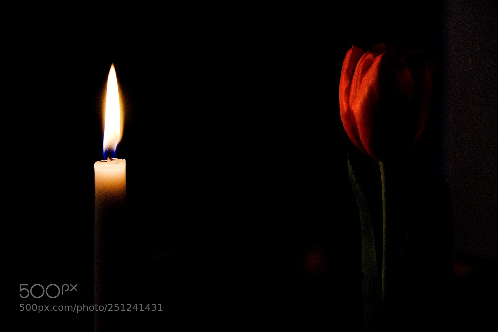 Fujifilm X-T10 sample photo. Burning of the midnight photography