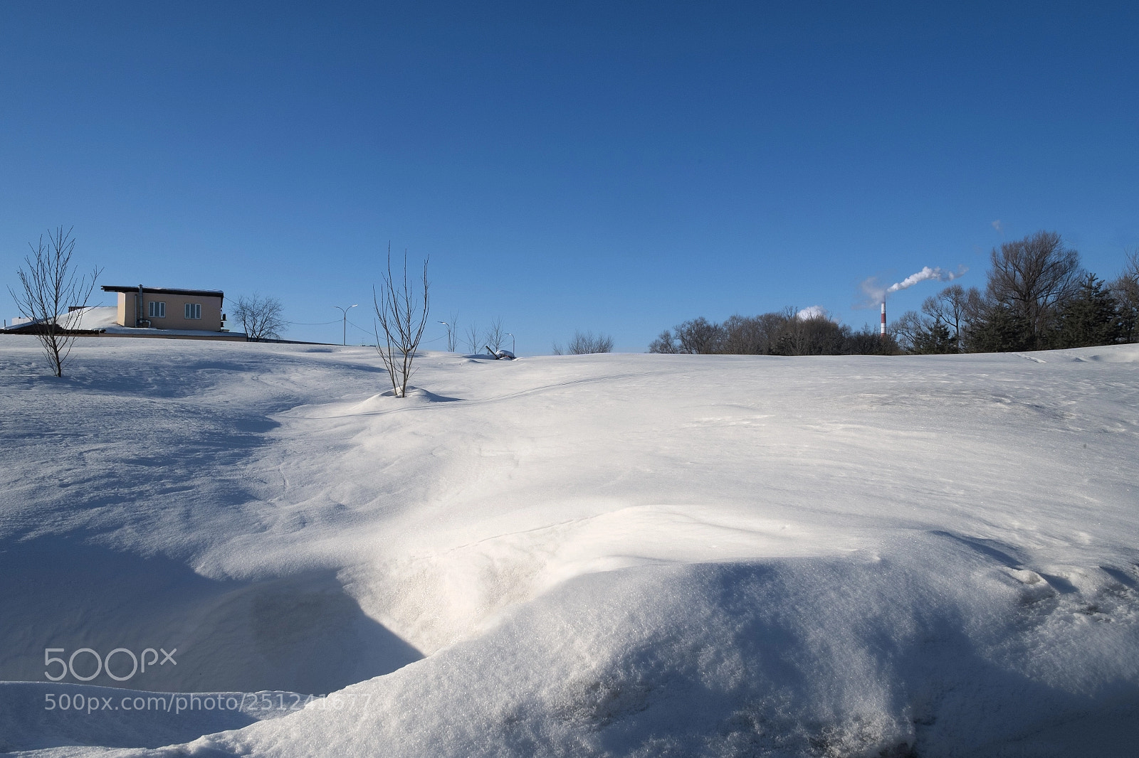 Fujifilm X-Pro1 sample photo. Dscf6627-2.jpg photography