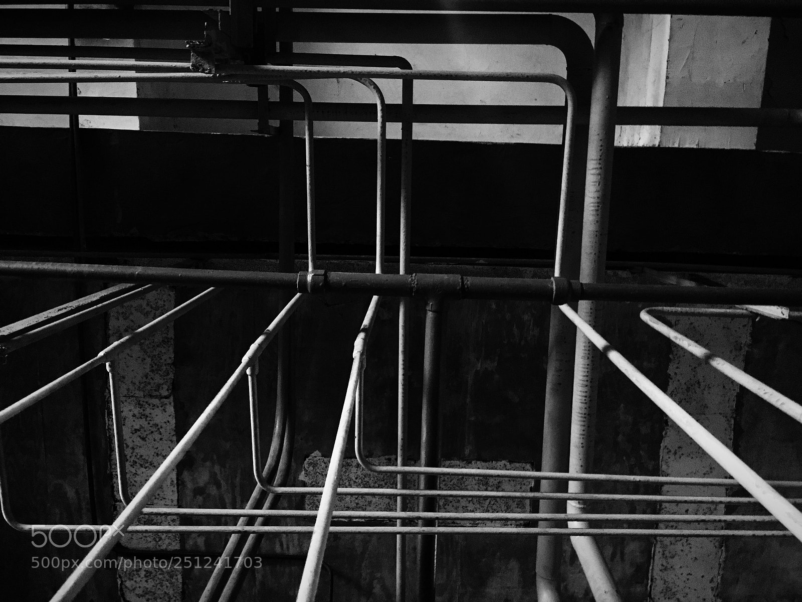 Apple iPhone 6s sample photo. Untitled photography
