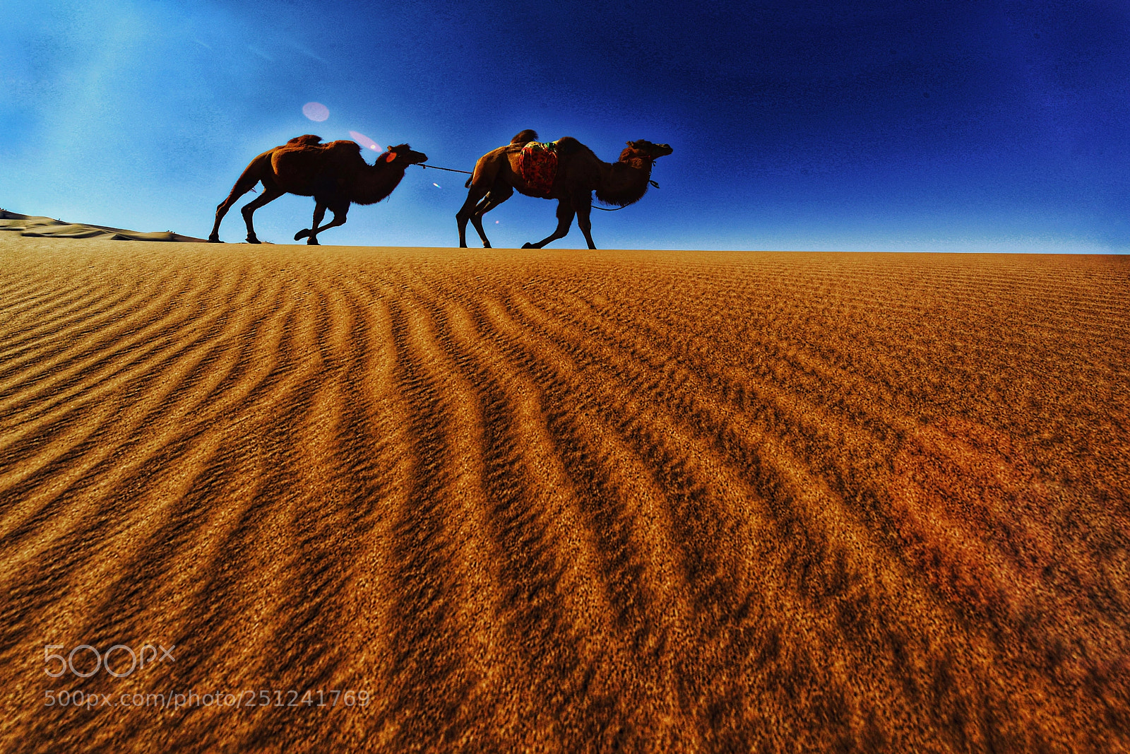 Nikon D800 sample photo. Xinjiang china photography