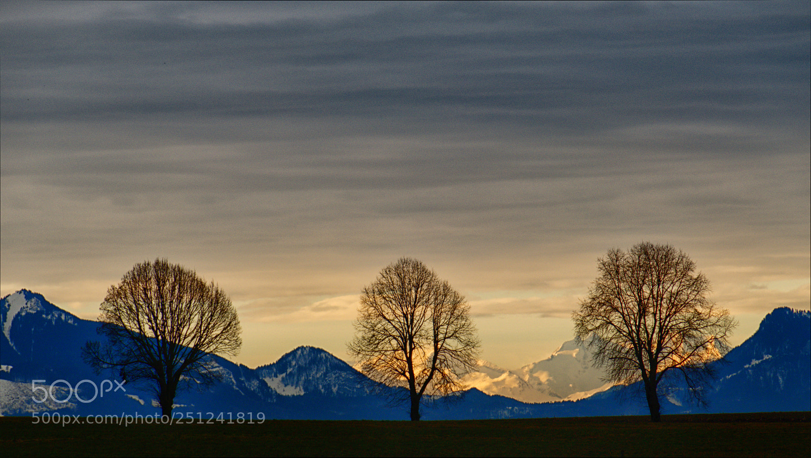 Panasonic Lumix DMC-FZ1000 sample photo. Three trees and mountains photography