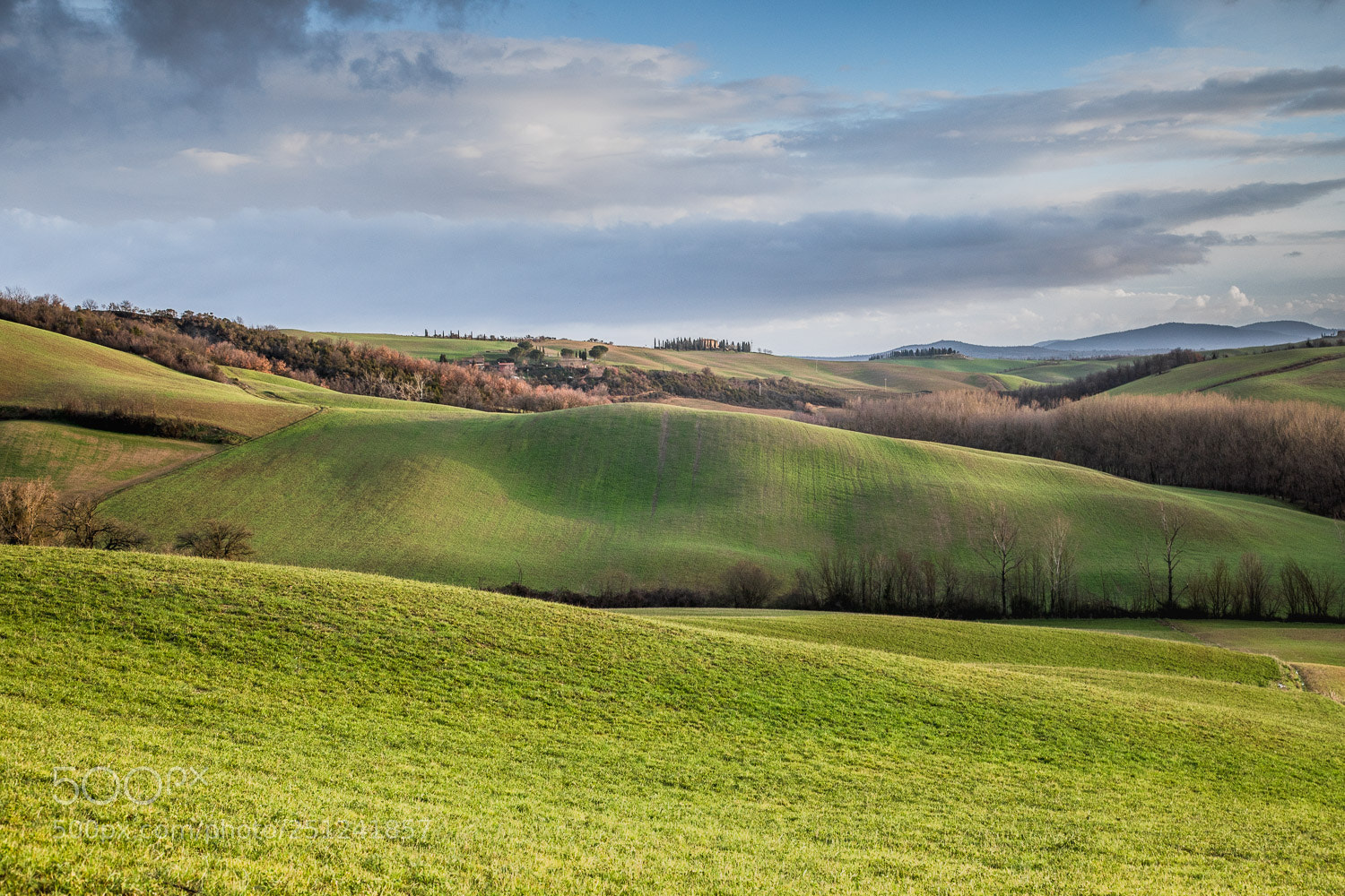 Canon EOS 5D Mark IV sample photo. Green land photography