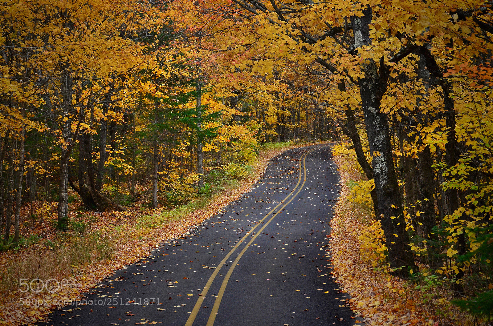 Nikon D7000 sample photo. Fall colors in michigan photography