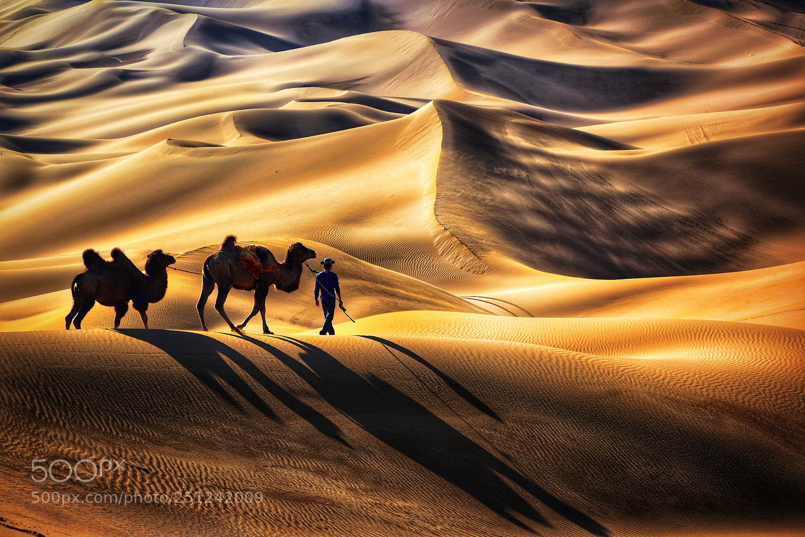 Nikon D800 sample photo. Xinjiang china photography