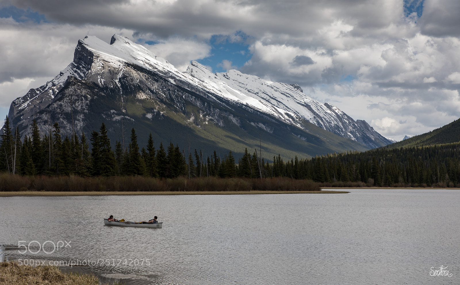 Canon EOS 5D Mark IV sample photo. Drifting on the lake photography