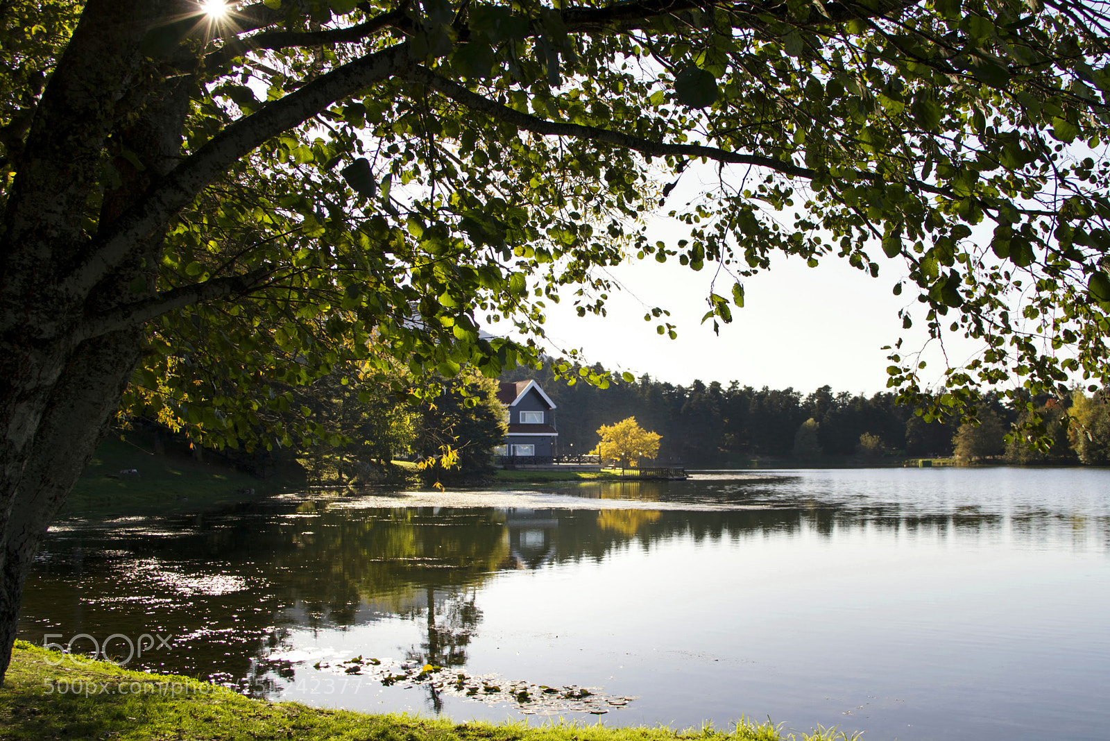 Canon EOS 7D sample photo. Golcuk_bolu_turkey photography