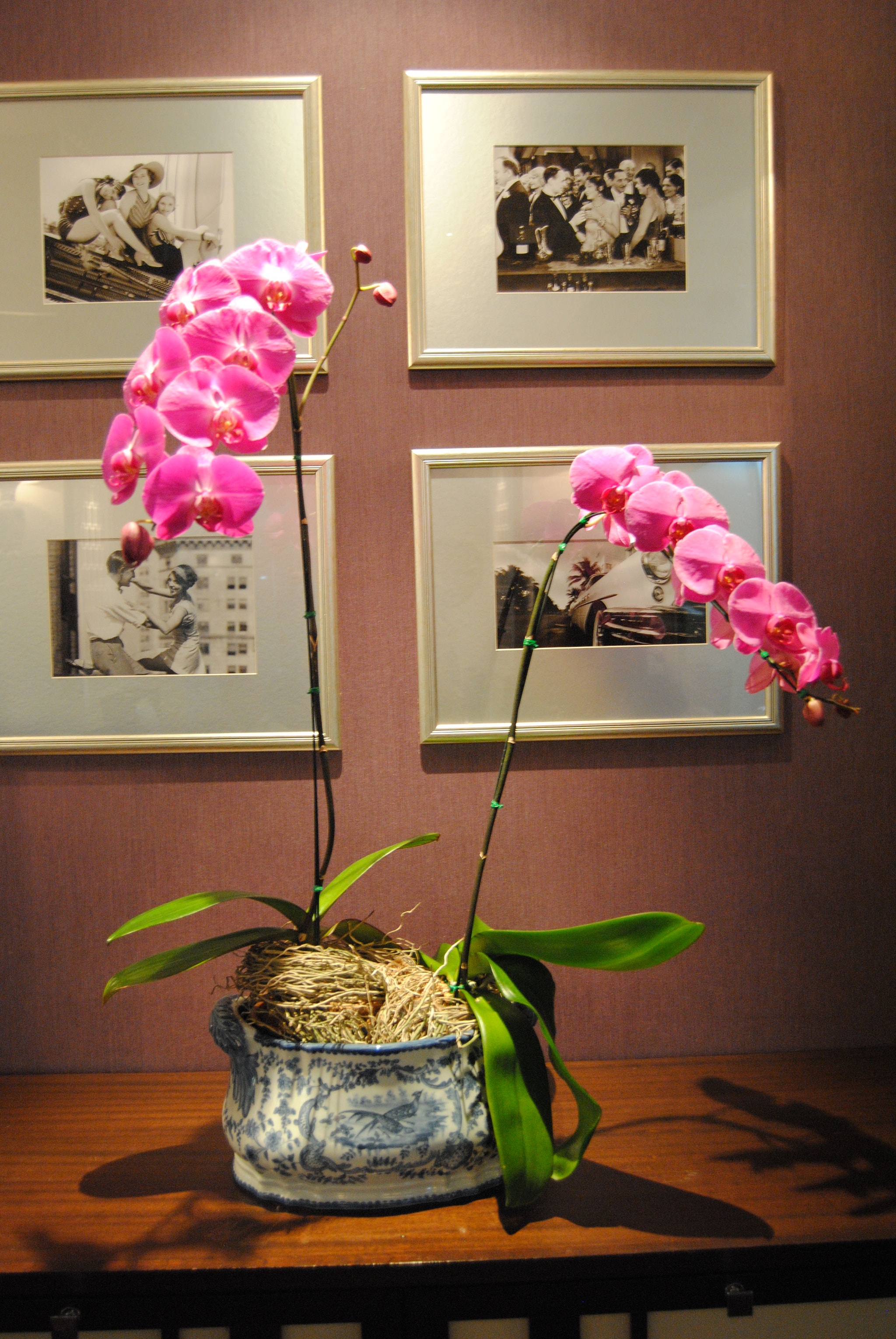 Nikon D3000 sample photo. 96.jpg photography