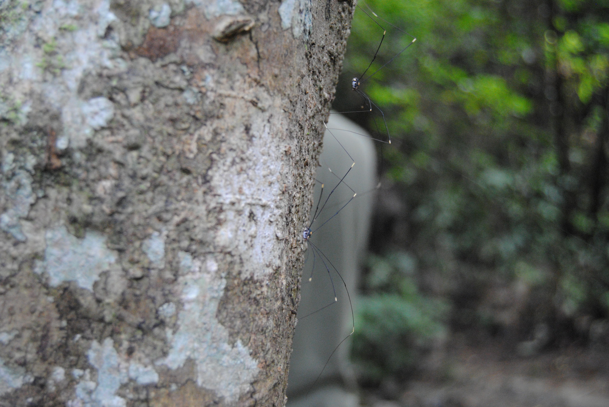 Nikon D3000 sample photo. 104.jpg photography