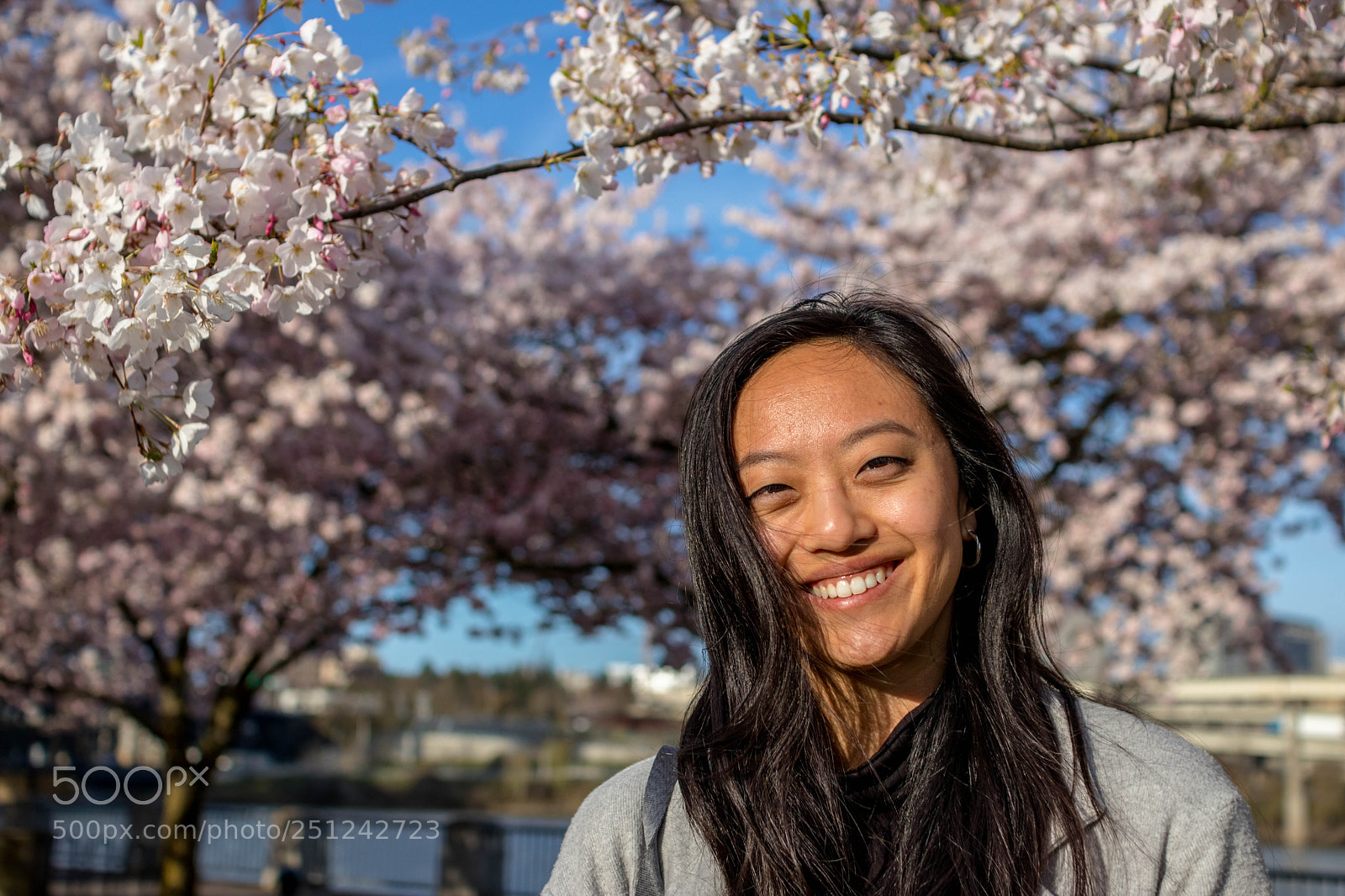Canon EOS 800D (EOS Rebel T7i / EOS Kiss X9i) sample photo. Cherry blossom blooms photography
