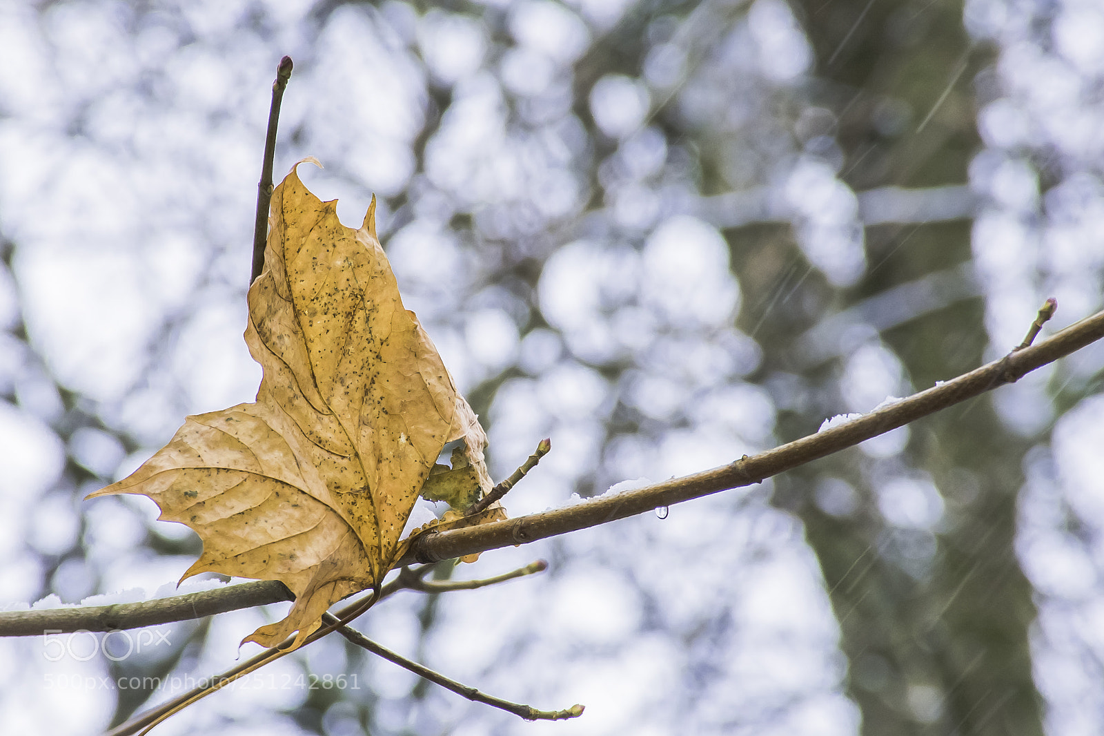 Nikon D7200 sample photo. The last one photography