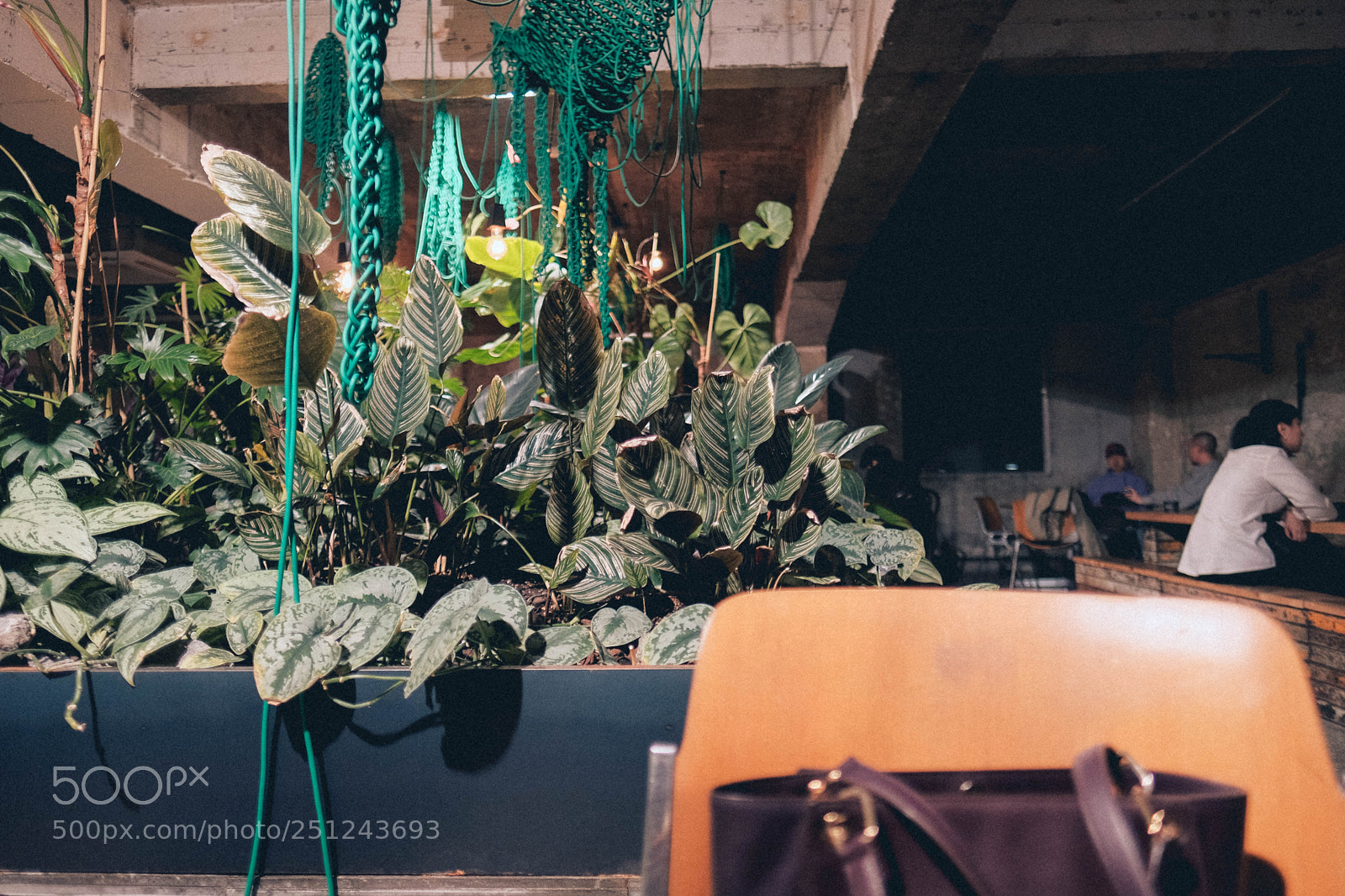 Fujifilm X-T20 sample photo. Greeny photography