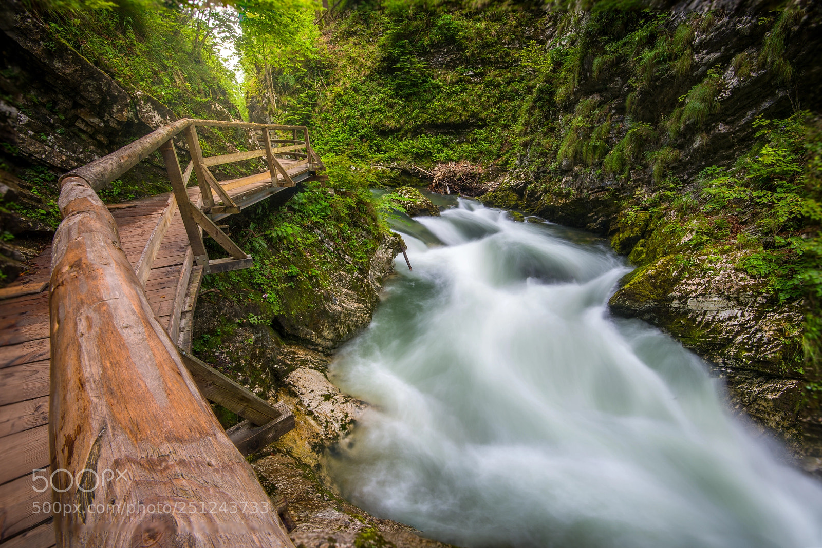 Nikon D800 sample photo. Vintgar gorge / soteska vintgar photography