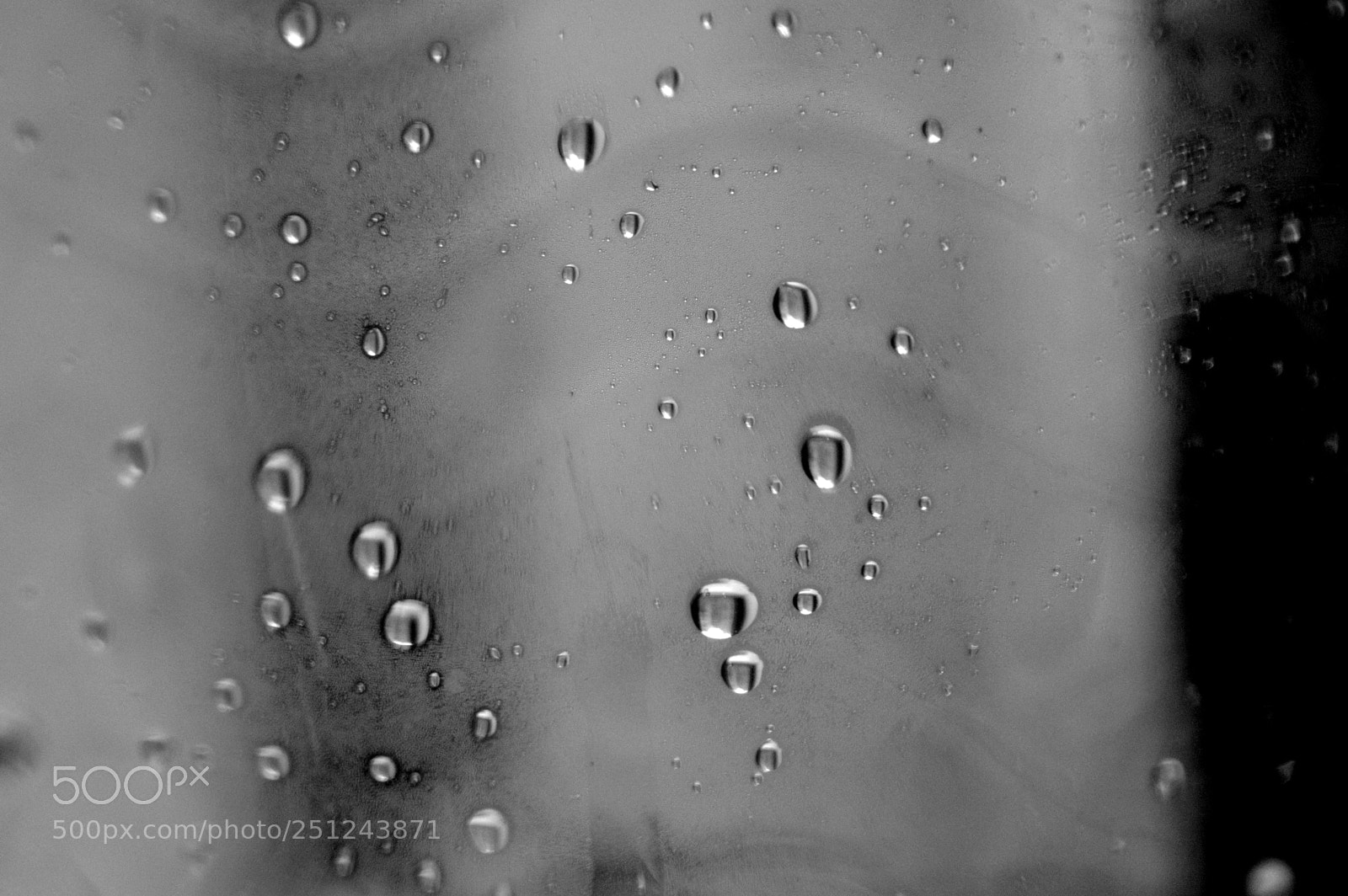 Nikon D3200 sample photo. Drops photography