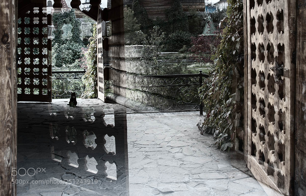 Nikon D700 sample photo. Guardian photography