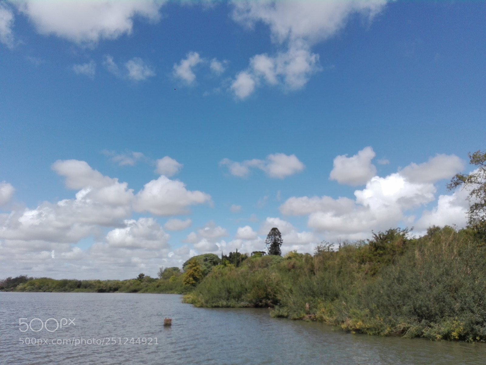 HUAWEI P8 Lite sample photo. Wednesday photography