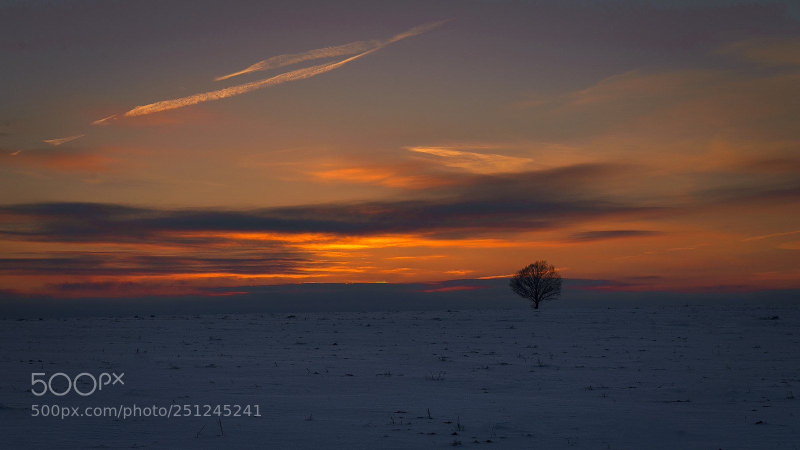 Nikon D610 sample photo. Sunset photography