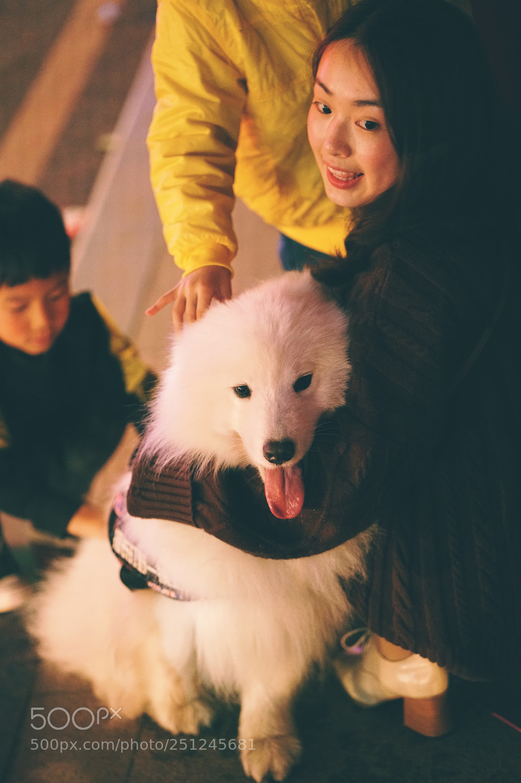 Sony a7R II sample photo. Untitled photography