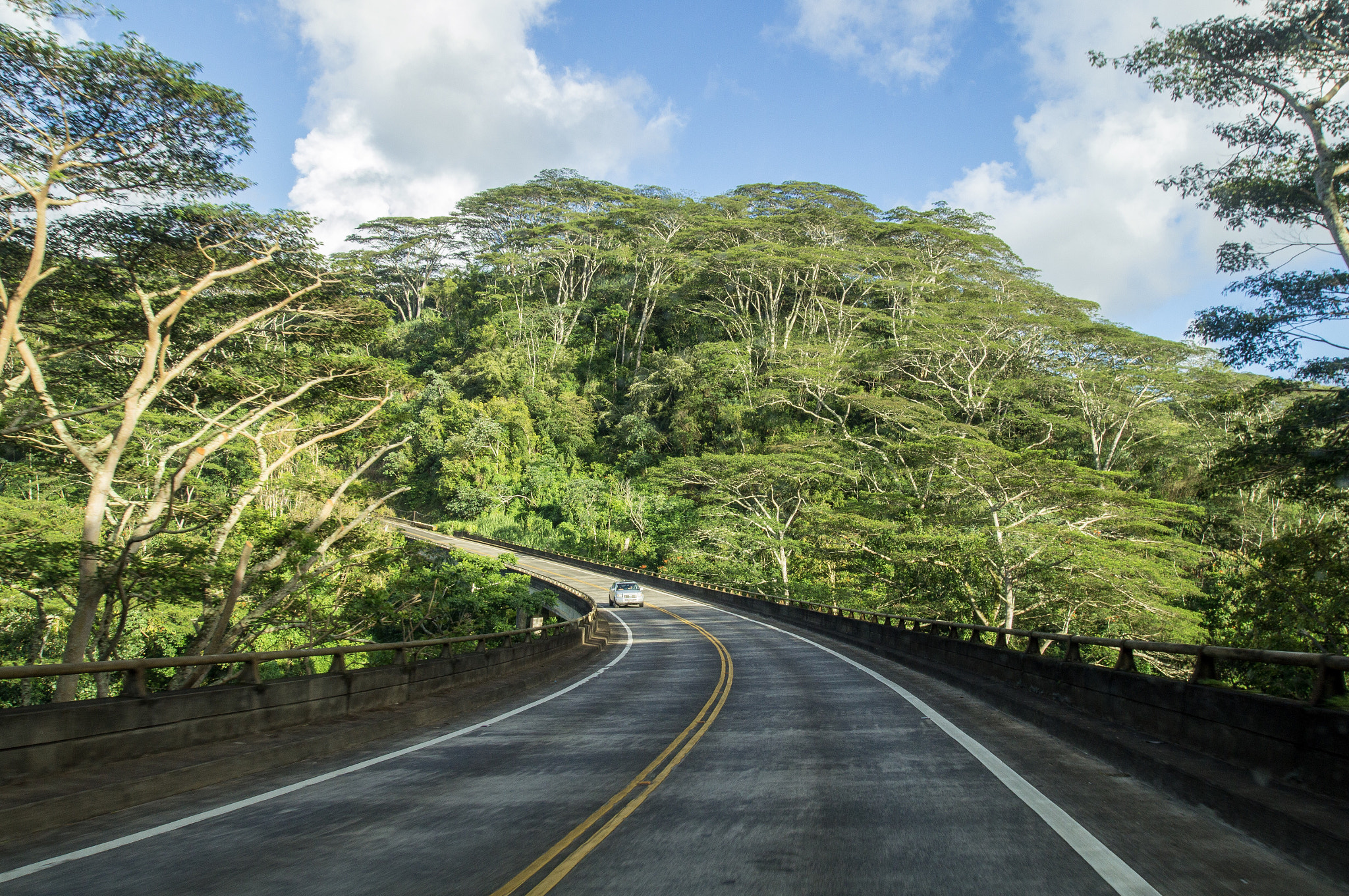 Sony SLT-A35 sample photo. Kauai road trip photography