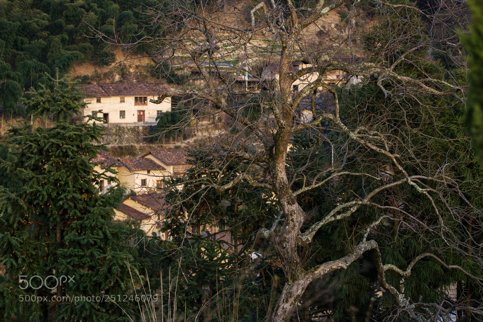 Canon EOS-1D Mark II N sample photo. Untitled photography