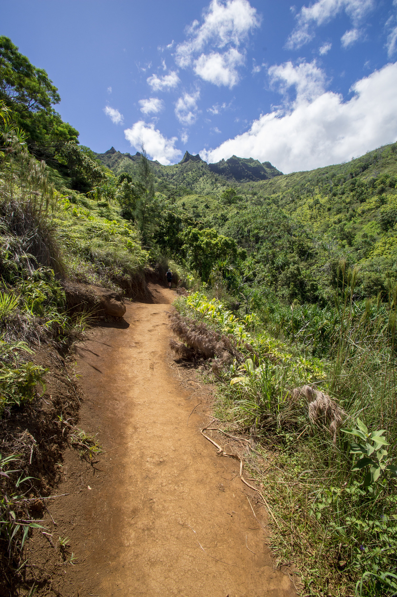 Sony SLT-A35 sample photo. Kalalau trail photography