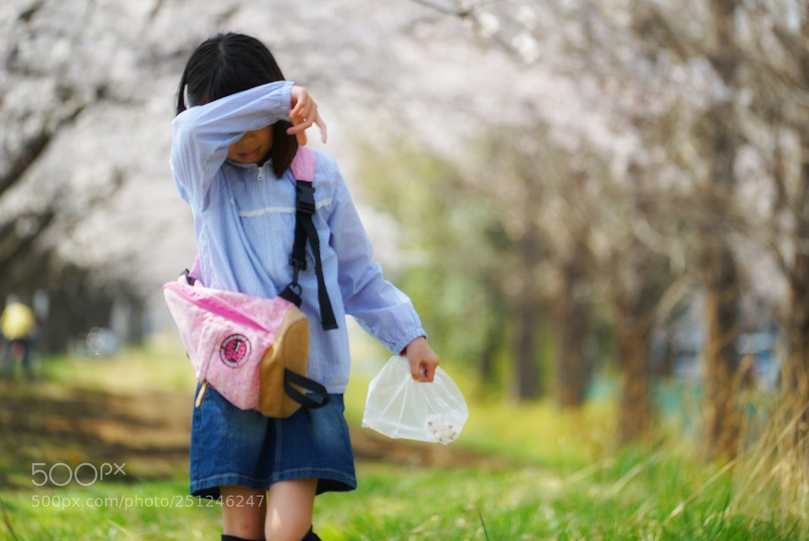 Sony a7S sample photo. Moment photography