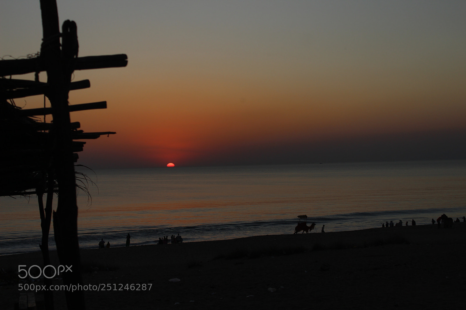 Canon EOS 700D (EOS Rebel T5i / EOS Kiss X7i) sample photo. Untitled photography