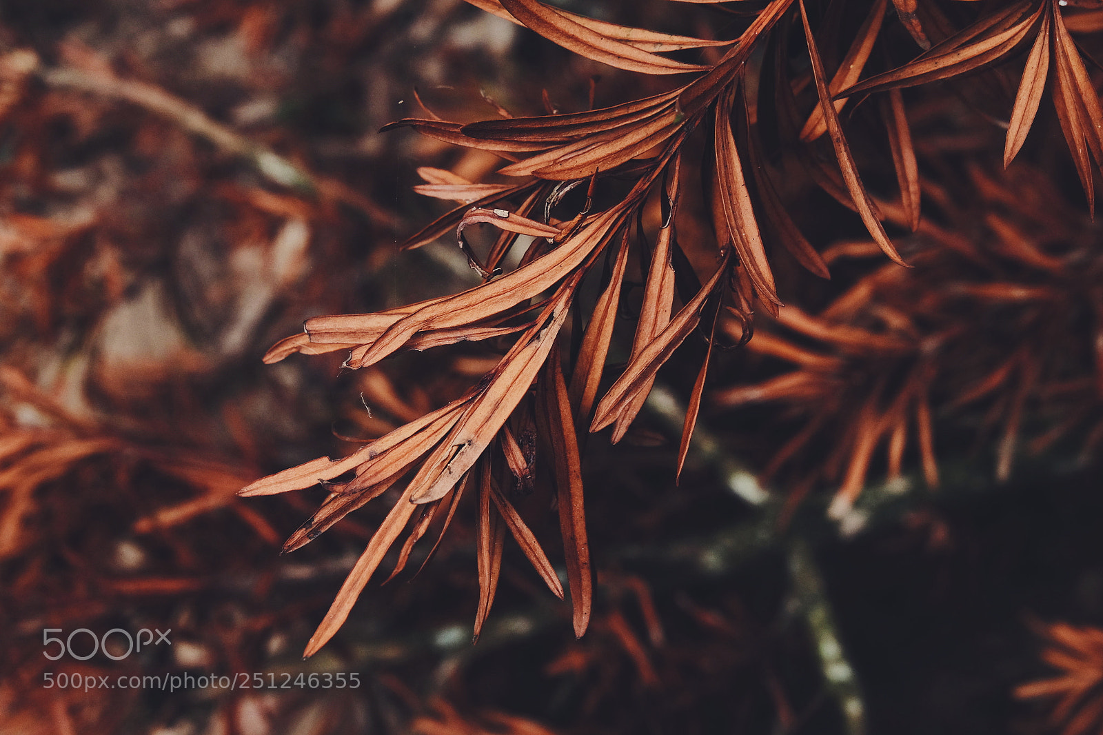 Fujifilm X-T1 sample photo. Untitled photography