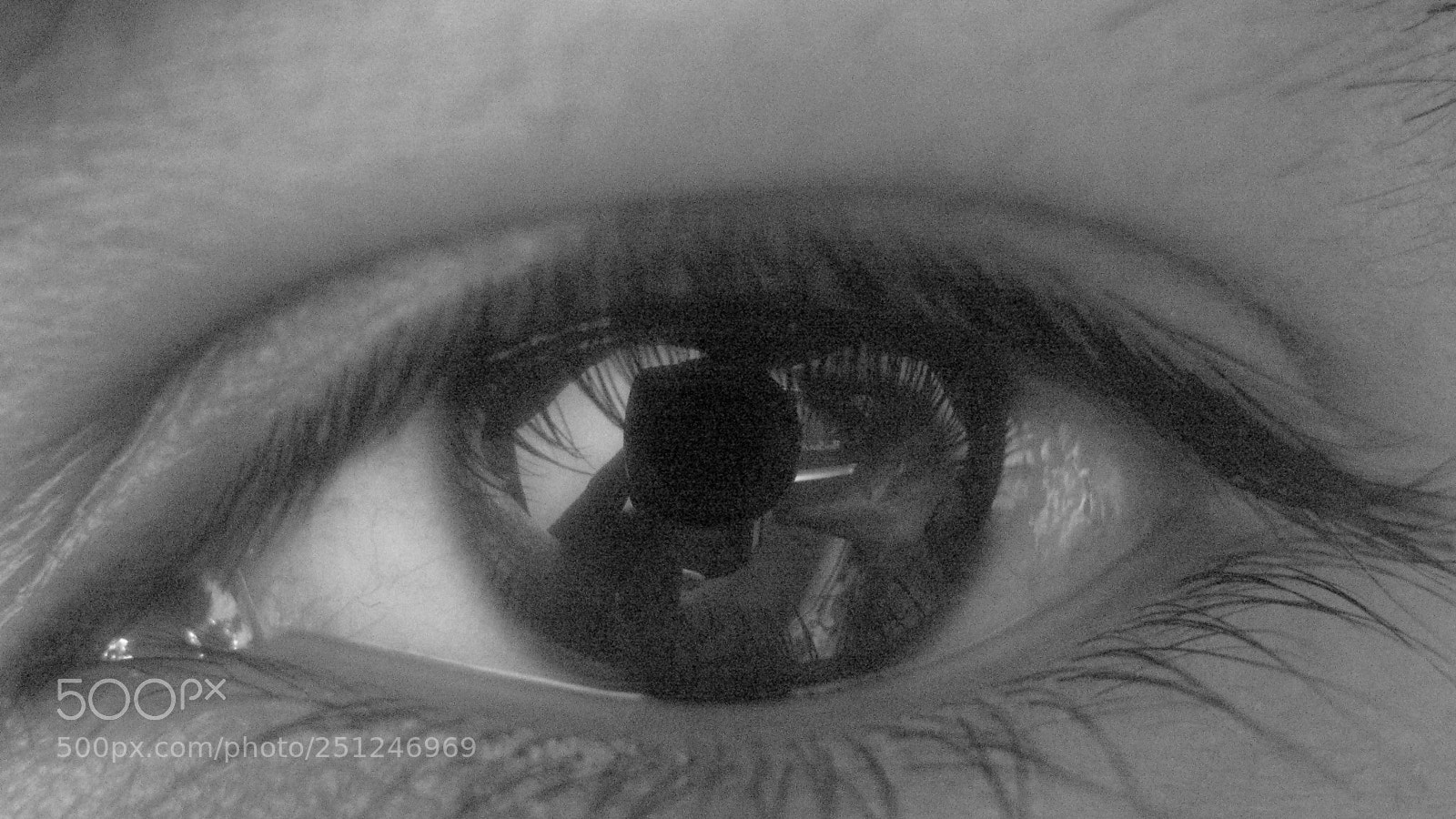 Canon PowerShot A470 sample photo. Milemium photography