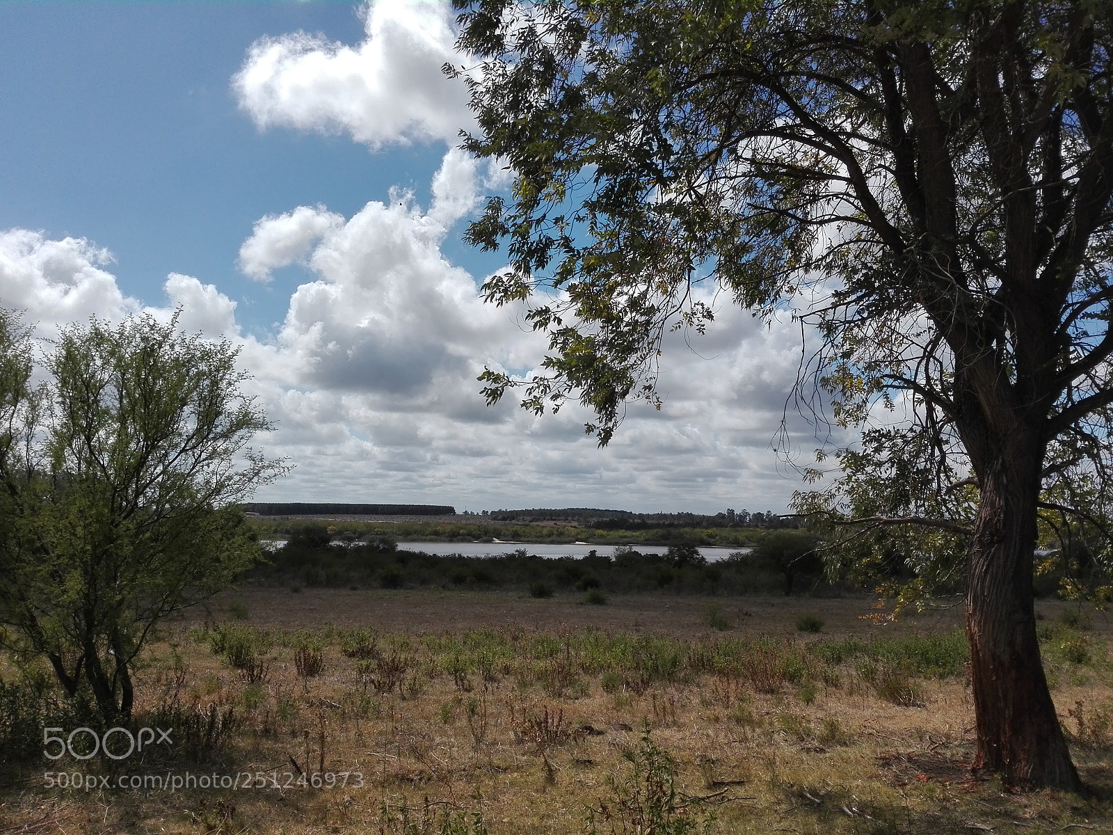 HUAWEI P8 Lite sample photo. Mercedes photography