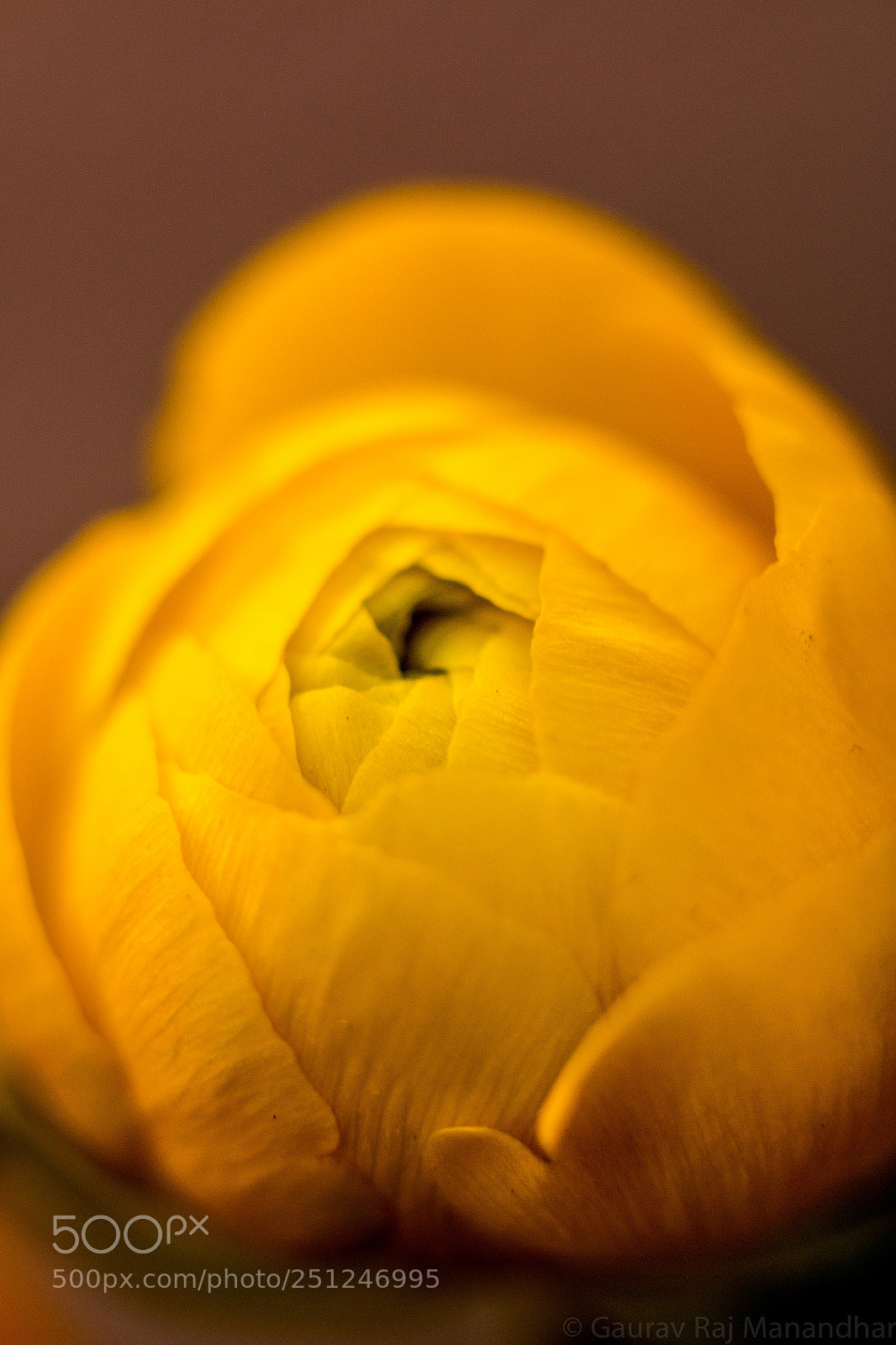 Canon EOS 70D sample photo. C l o s photography