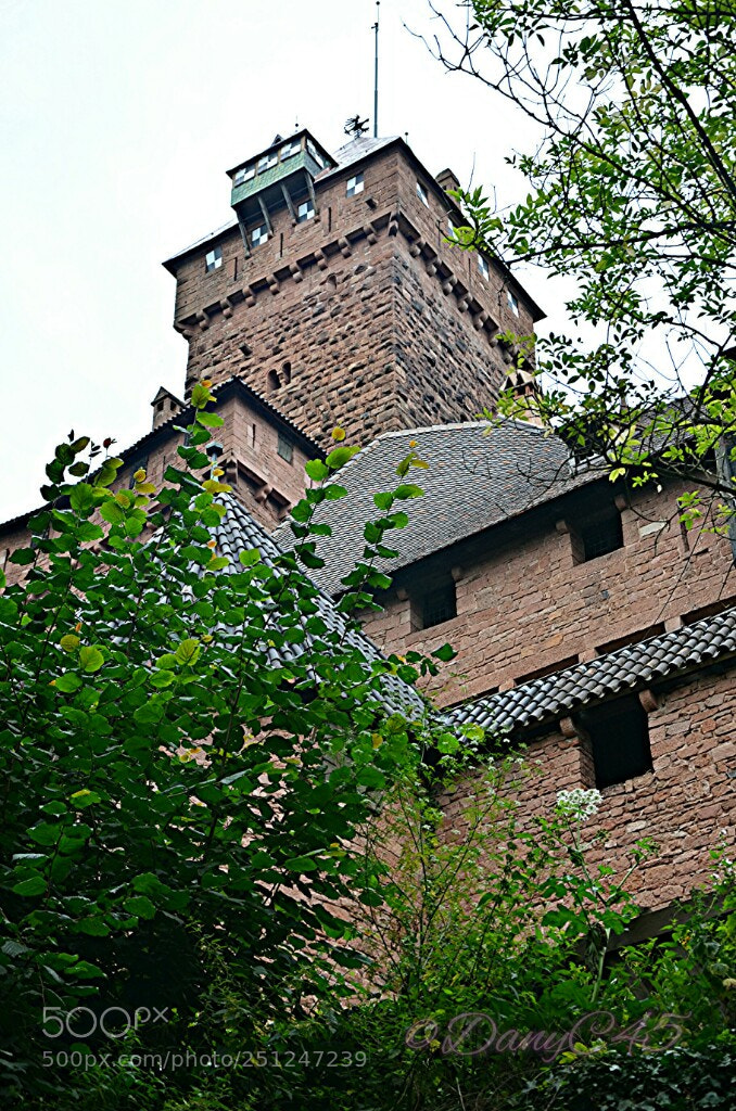 Nikon D5100 sample photo. Alsace (23) photography