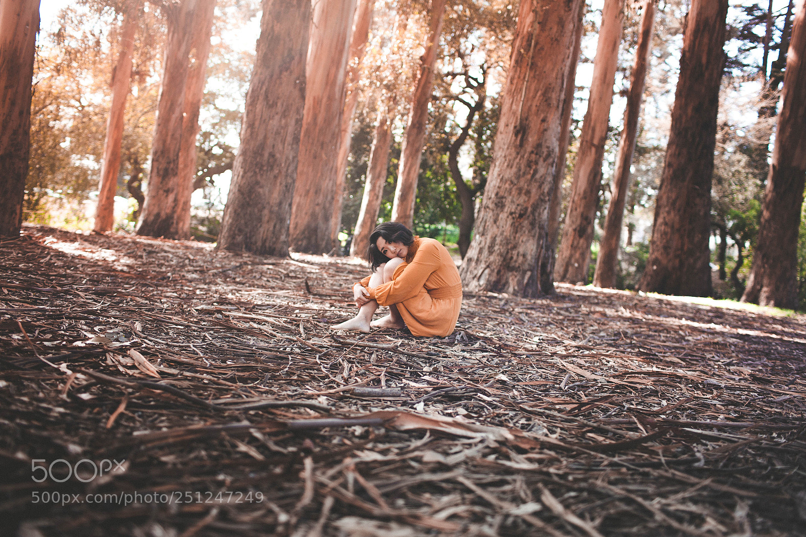 Canon EOS 5D sample photo. Untitled photography