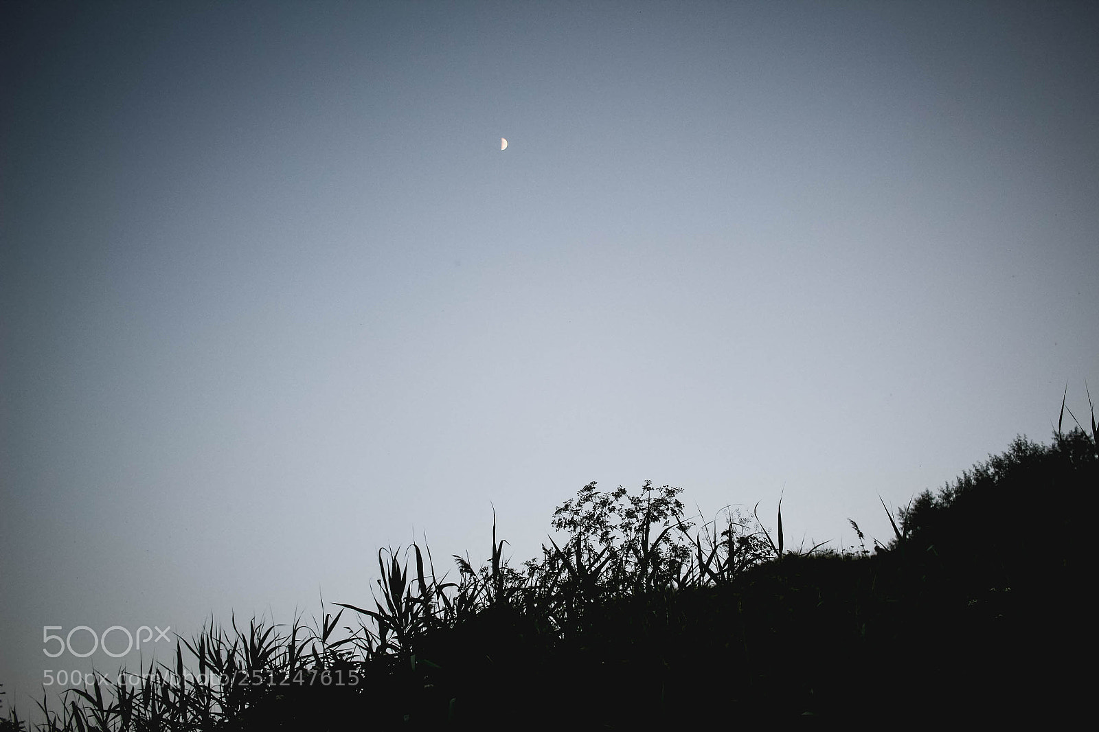 Canon EOS 100D (EOS Rebel SL1 / EOS Kiss X7) sample photo. Beautiful moon photography