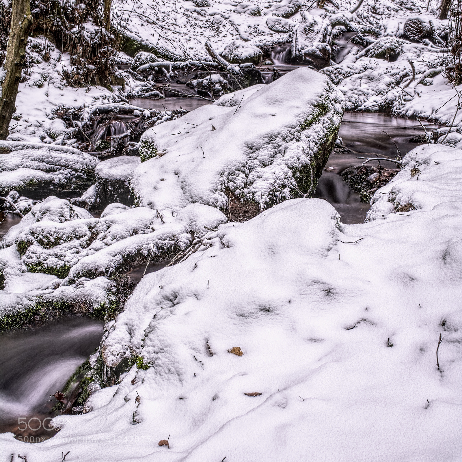 Nikon D7100 sample photo. Creek31 photography