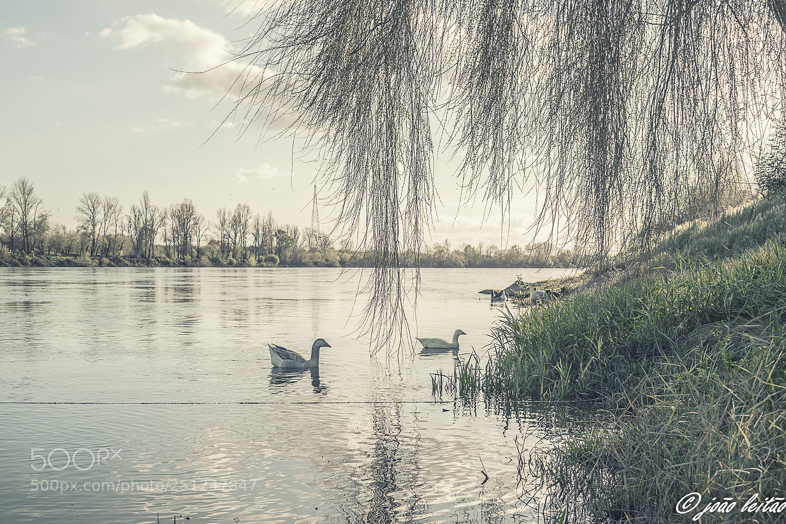 Nikon D3300 sample photo. Enchanted place photography