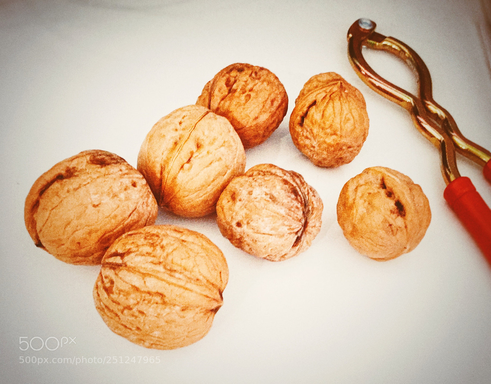Apple iPhone 6 sample photo. Processed with vsco with photography